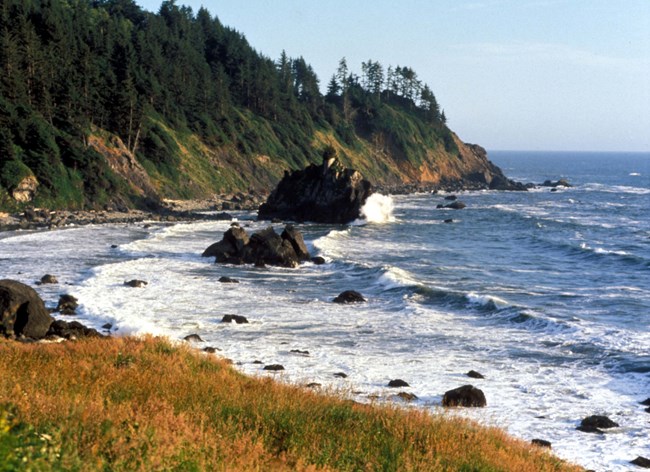 Redwood NP Coastline