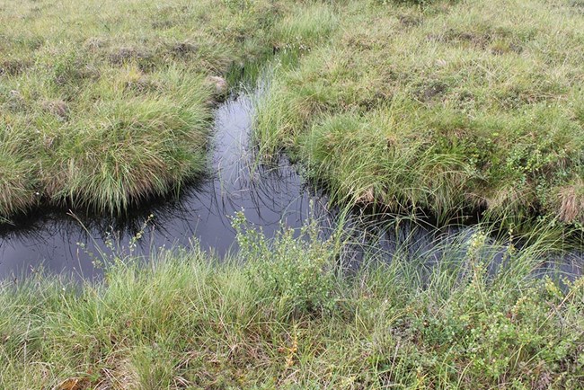 Small channels of water formed by melted ice wedges.