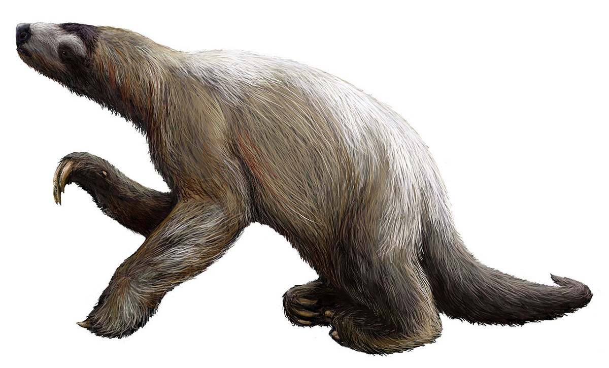 artist rendering of a ground sloth