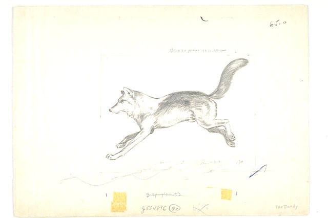 Pencil sketch of a leaping wolf