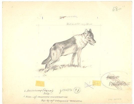 Pencil sketch of a standing wolf with tongue out