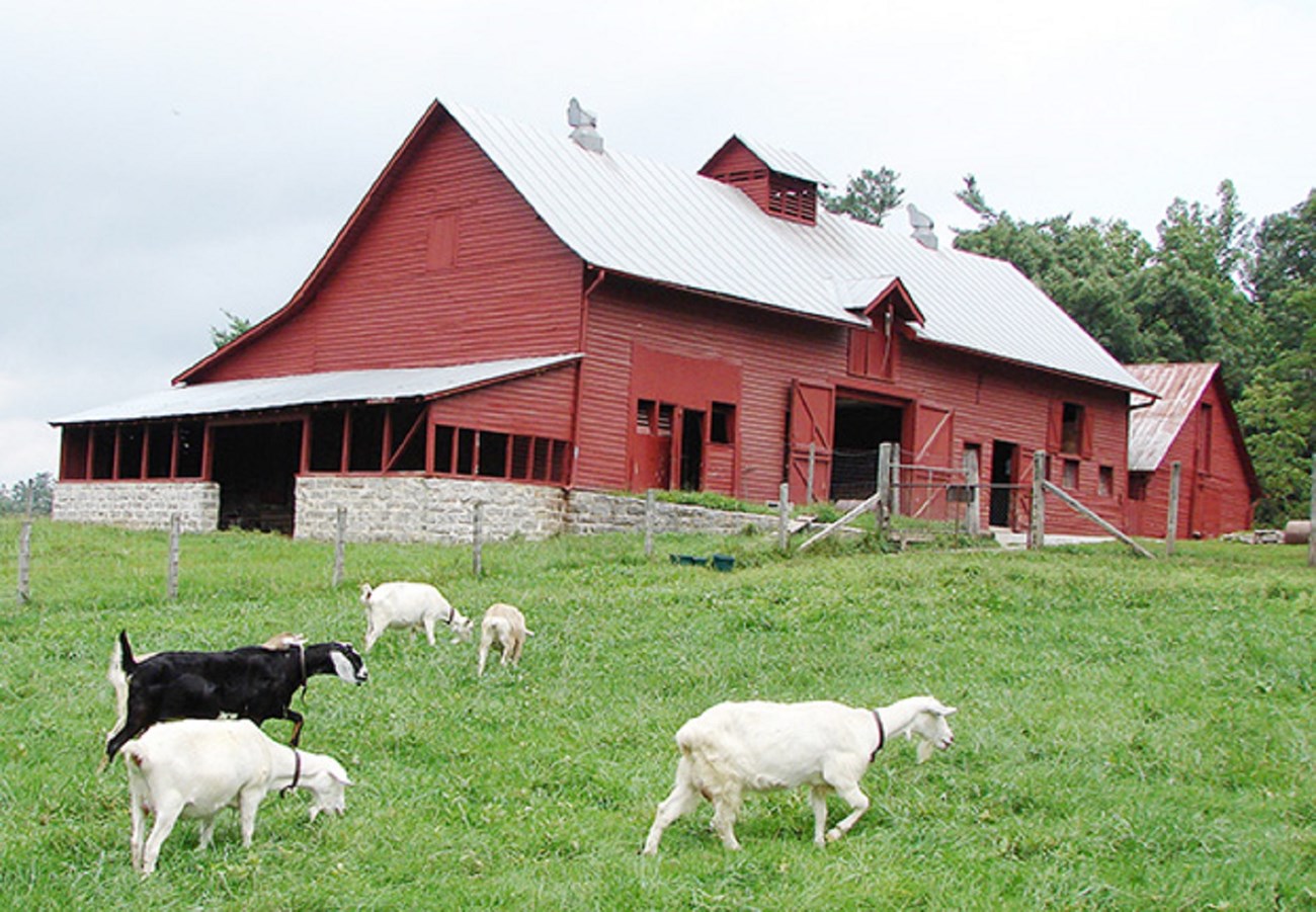 A large red barn with a metal roof sits surrounded by fenced pastures and smaller farm buildings