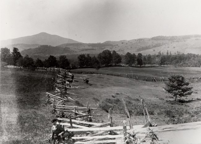 Beaman Pasture with Split Rail Fence