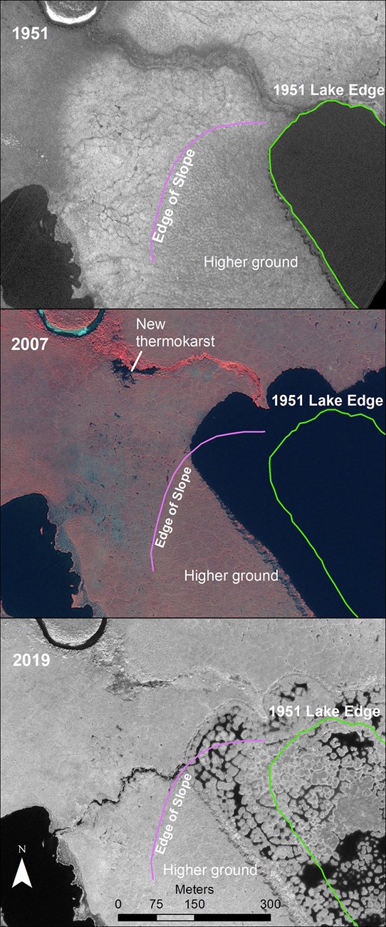 A three-panel image of changes over time of ice wedge polygons in Arctic tundra/permafrost.