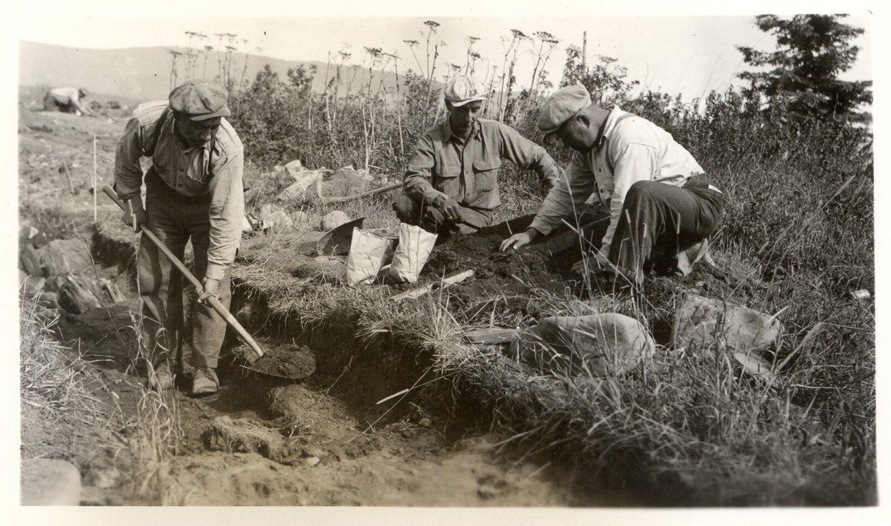 Three men with archeological tools, excavating a site with one more man bent over work in the distance.