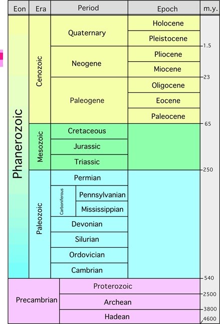 A graphic of the geologic time scale