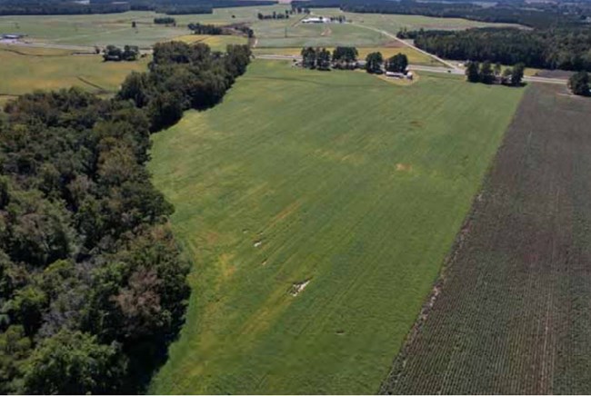 A green field with a treelined creek lead to a farmhouse on a hill.