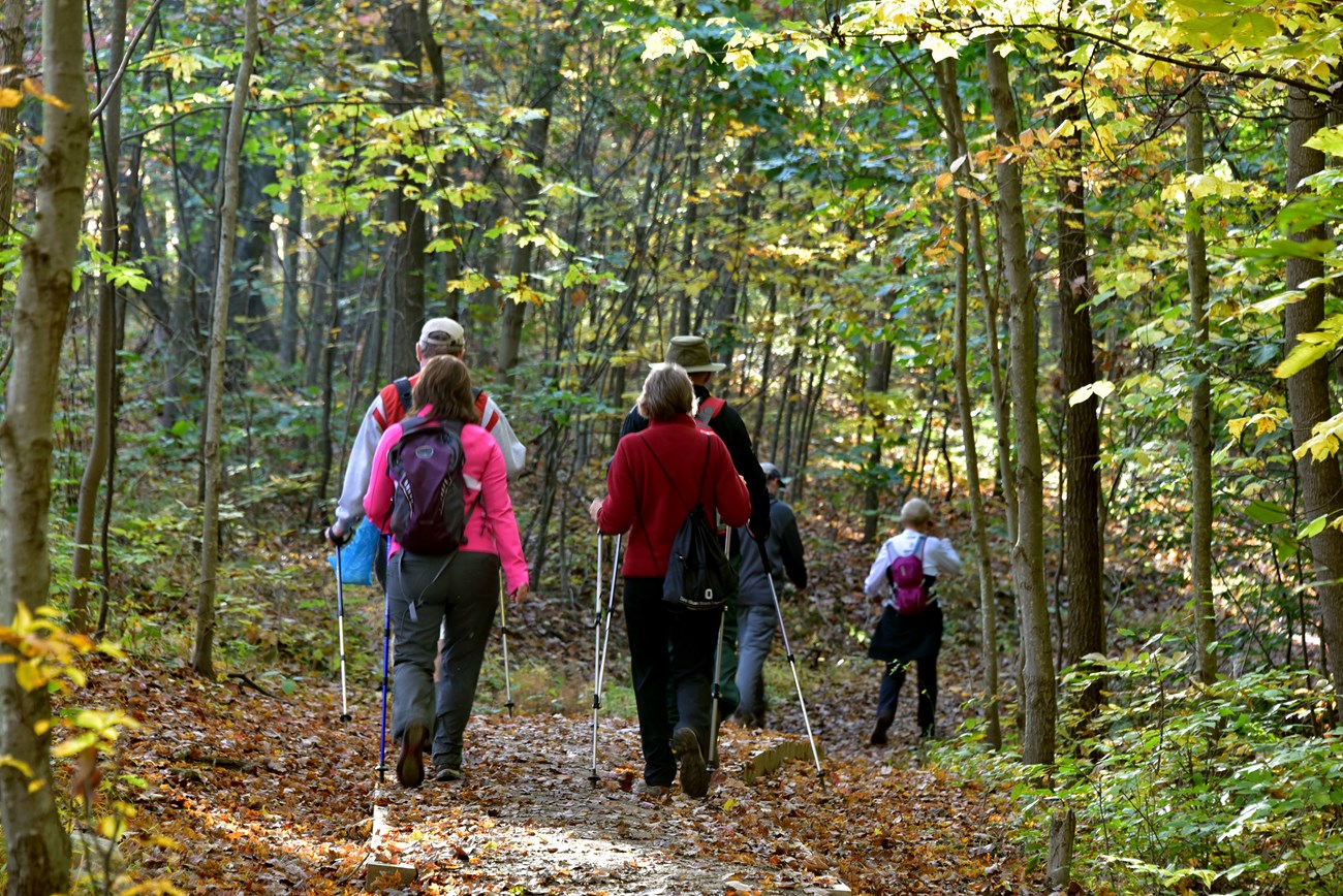 Six people walk down a trail away from the camera along a forested trail, most carry hiking poles in their hands.