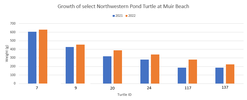 Bar graph with six pairs of bars each representing a turtle's weight in 2021 and 2022. The turtles range in weight from almost 200g to ~600g in 2021, and each grows approximately 20-90g in 2022.