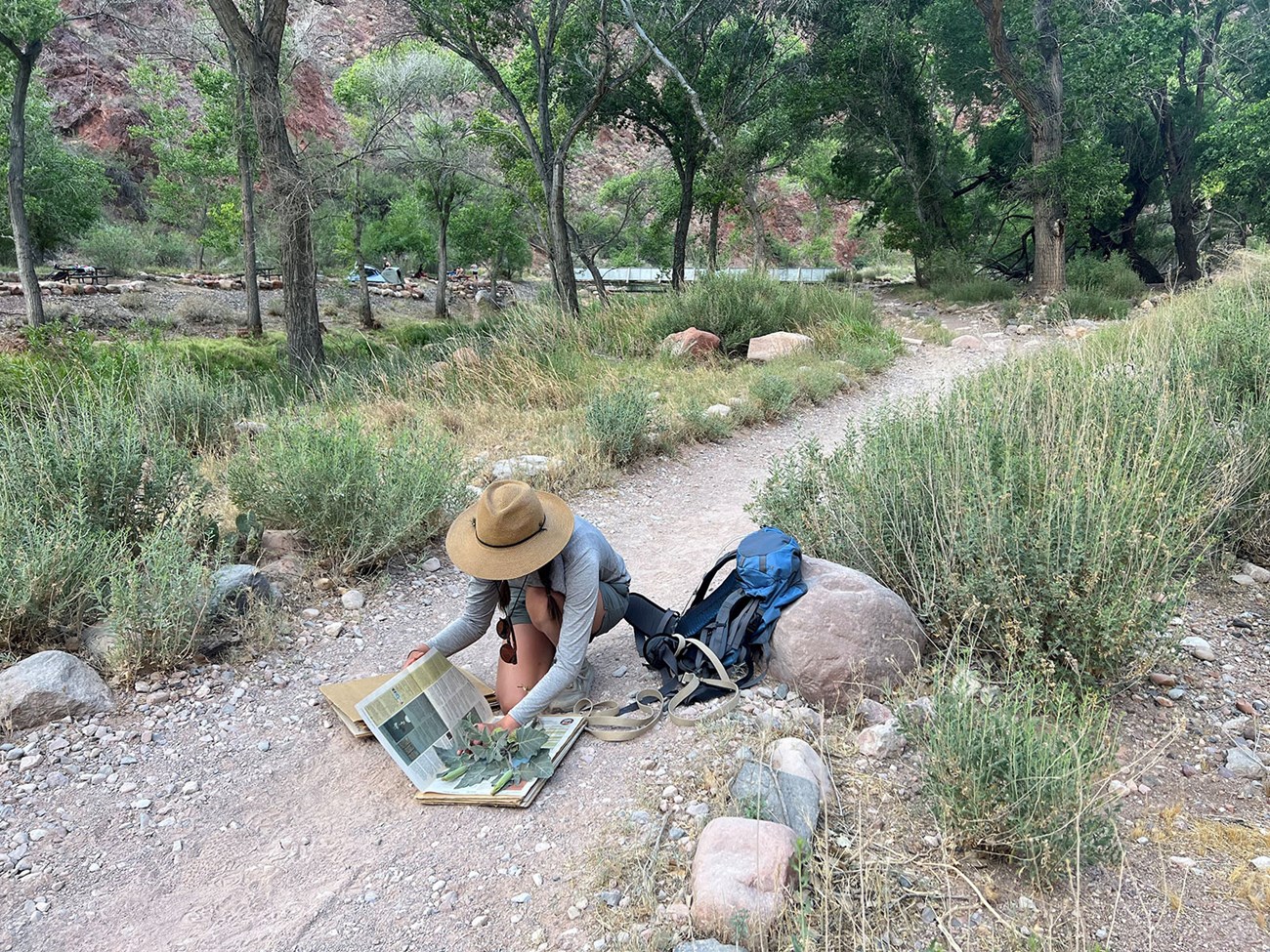 2022 PLIP Intern Christine Dyer in the field_webtile A woman examines the vegetation and takes measurements.