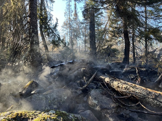Burned log. NPS photo.