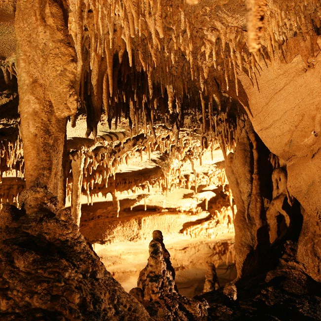 Mammoth Cave National Park: World Heritage Site (U.S. National Park