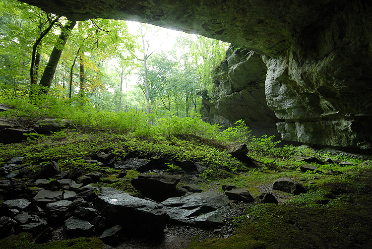 Our National Parks » Updated Fenway Park preserves history