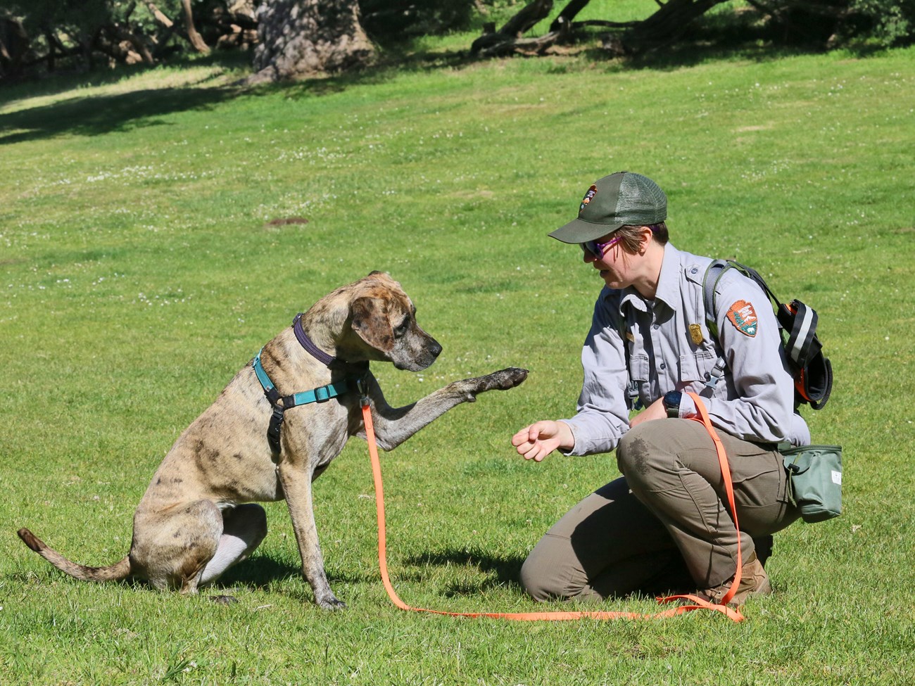 Smith, in uniform, kneeling in the grass and holding out a fist to their dog Nooch, who, sitting to face them, lifts her paw in response.