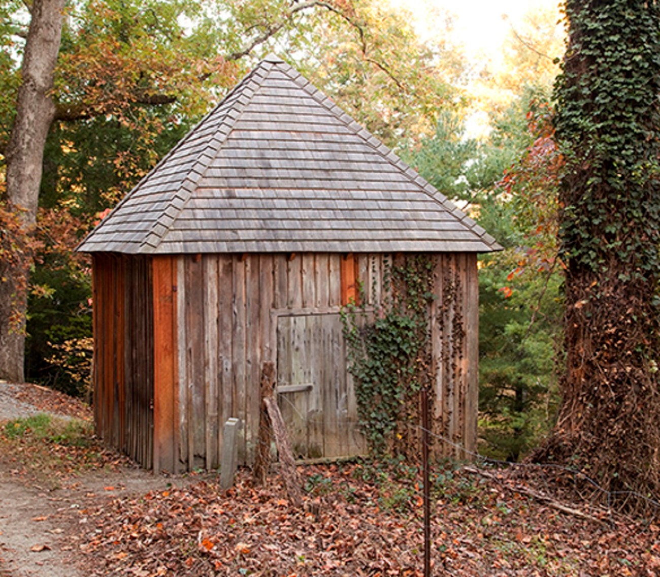 A small wooden shed with a wooden door and wood shingles sits at the edge of a wooded area.