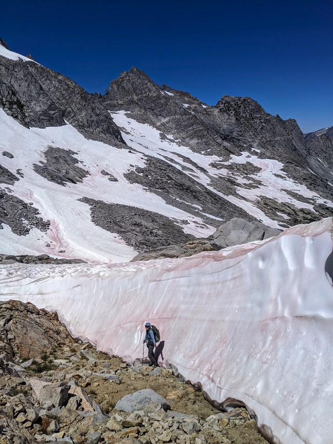Backpacker walks along wall of snow in a remote rocky basin enroute to site.