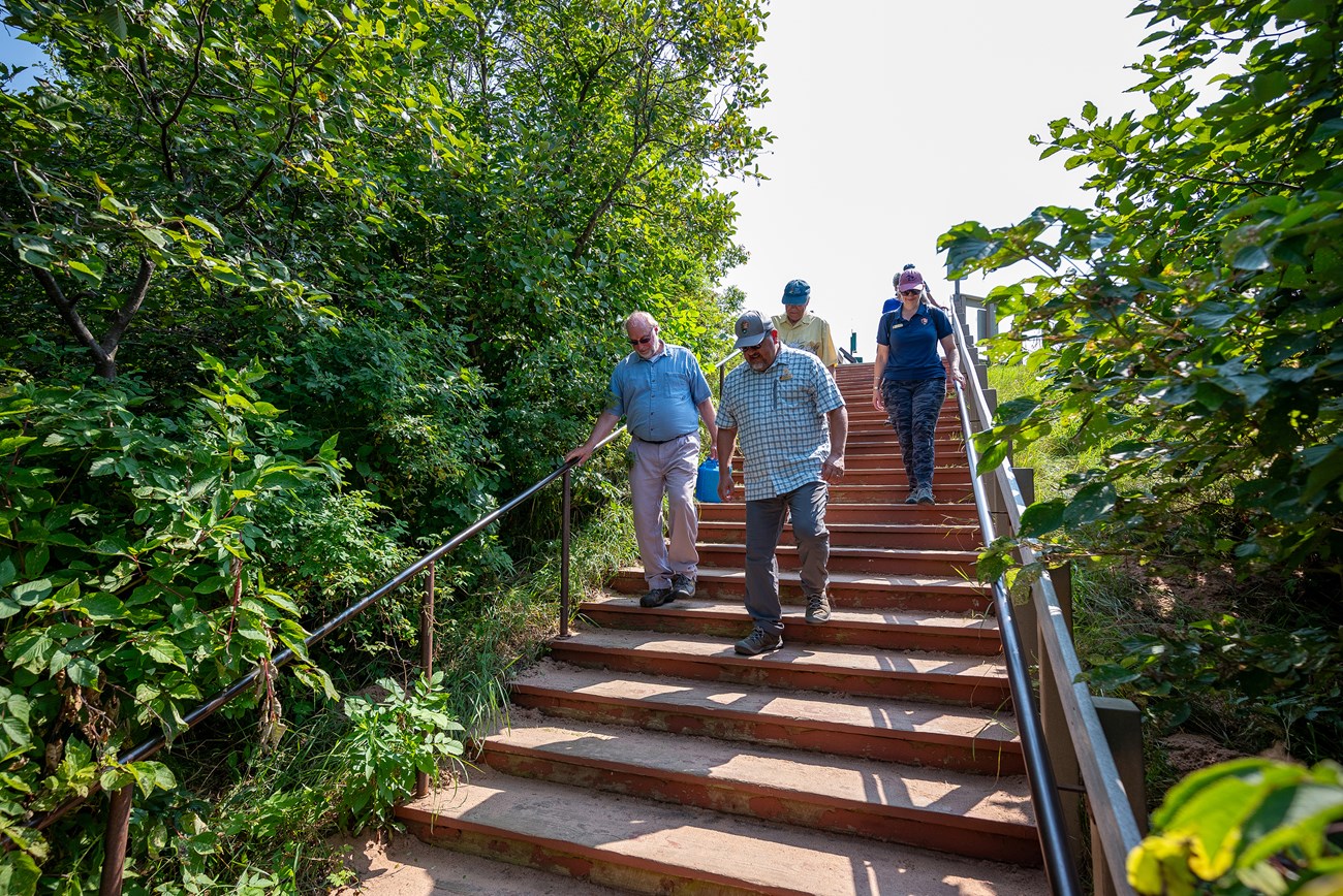 Photograph of people descending an outdoor staircase surrounded by dense green foliage