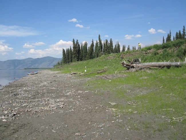 Site of Charley's Village on the Yukon River shoreline
