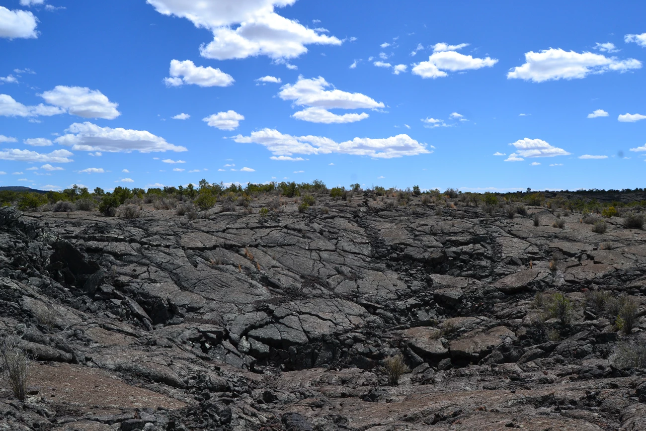 8a4b6f59-39a2-4b03-b713-d1b850288f66Original photo of a volcanic landscape covered in dark lava rock.