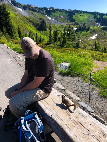 Golden-mantled ground squirrel begging, Mount Rainier National Park A small squirrel approaches a man sitting on a wooden bench.