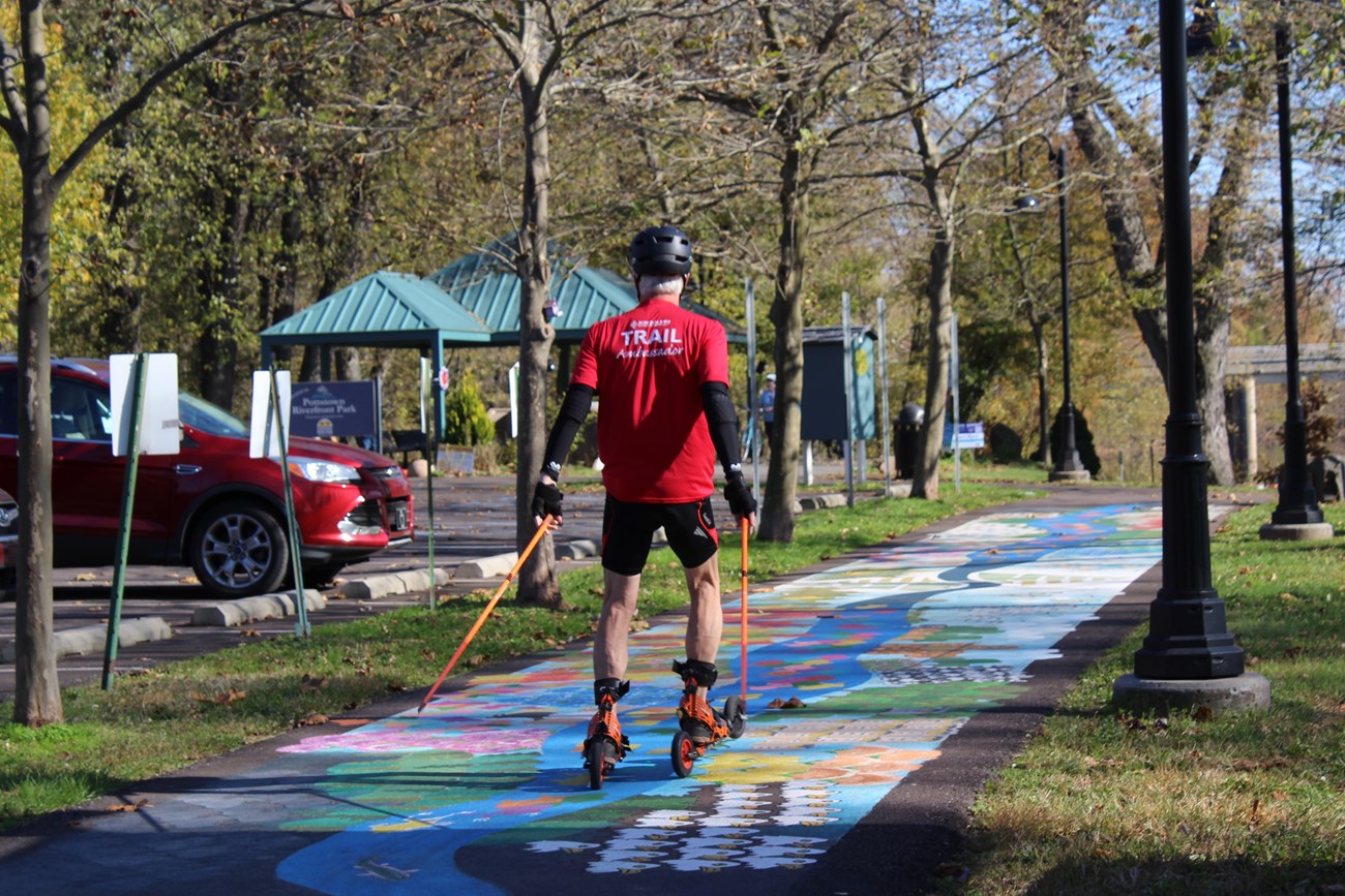 A person skates down a paved trail alongside trees and parking lot. The trail has designs drawn onto it in chalk or paint.