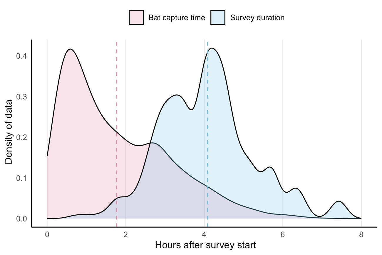 Graph of bats captured versus time spent A graph with a curve on the left showing bat capture time overlapping a curve on the right showing survey duration. Y axis=density of data; X axis=hours after survey start.