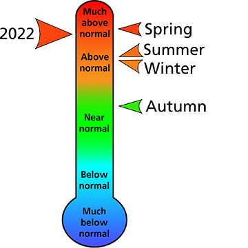 Company toward affect selection vigor the this surf