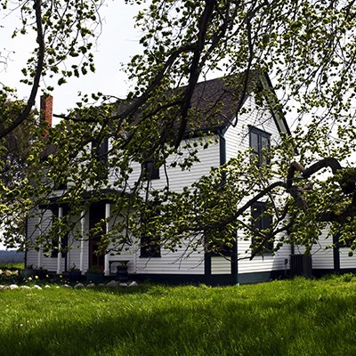 Two-story farmhouse with white clapboard facade and central porch sits in grassy field, framed by branches of elm tree in foreground