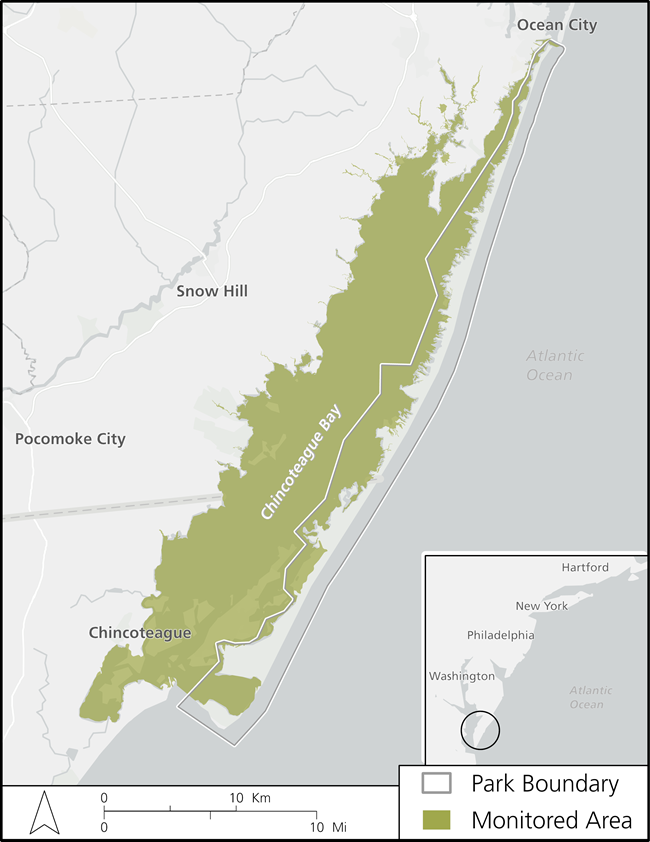 Assateague Island National Seashore Map of the Assateague Island National Seashore estuarine systems which are monitored for nutrient enrichment, and located in Maryland and Virginia.