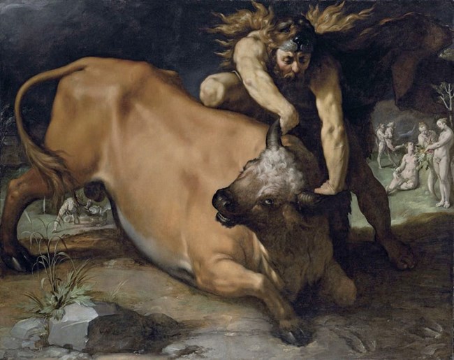 A man holding a bull by the horns and wrestling it to the ground.