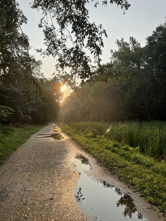 After the rain at the C&O Canal NHP