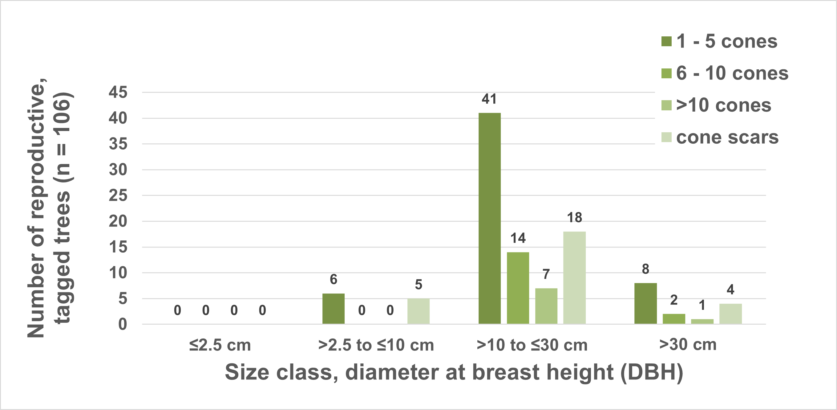 Graph of cone-producing whitebark pine trees by size class, showing the majority in the 10-30 cm dbh size class.