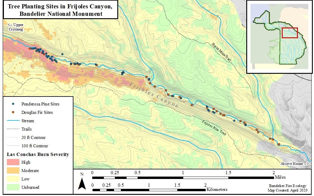 Map of tree planting sites