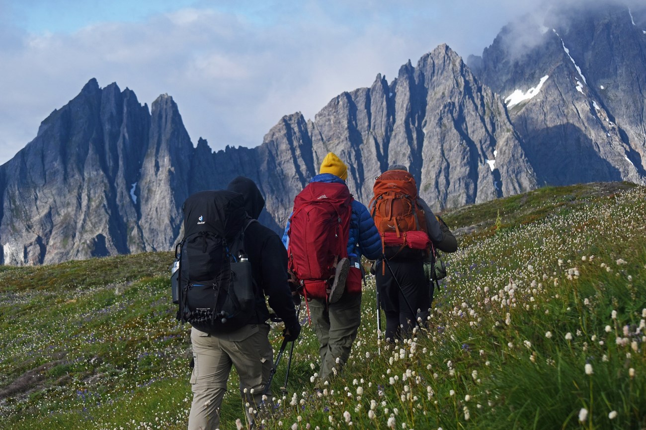 Three hikers walk through a meadow with mountains in the distance.