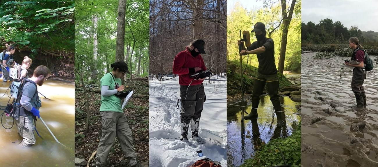 Banner image Field crews monitoring natural resources in the National Capital Region Network.