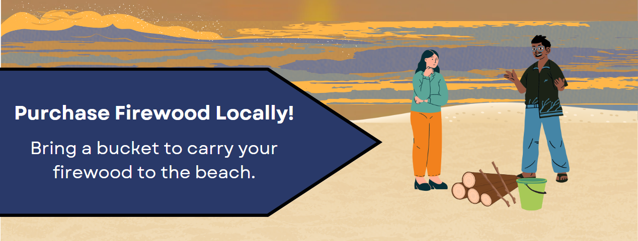 Infographic of two people standing on a beach with wood logs and a bucket. Text: Purchase Firewood Locally Bring a bucket to carry firewood to the beach.