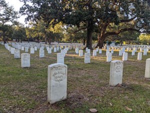 Rows of Civil War graves