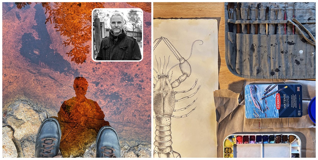 Collage: photo of the artist, photo of feet next to a tidepool, photo of an illustration in progress with drawing tools
