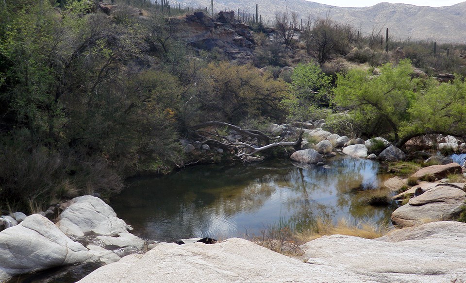 Big 1L tinaja A large pool of clear water in a desert drainage of bedrock and boulders.