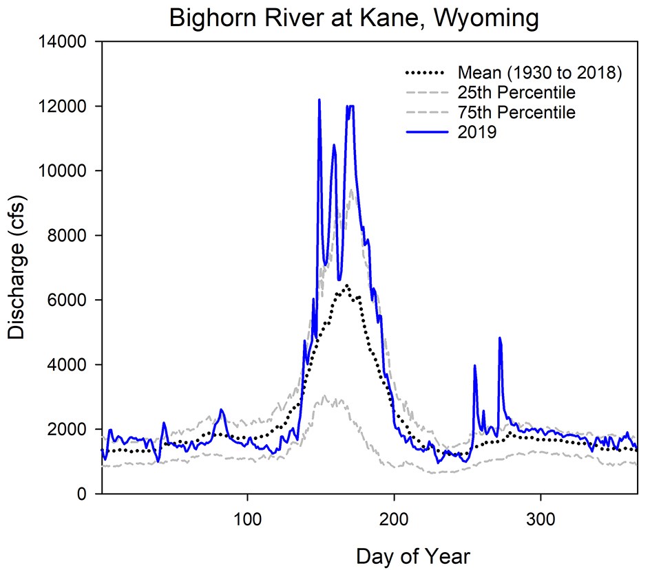 Average daily flow graph Line graph of daily discharge for the Bighorn River at Kane in 2019 with 25th and 75th percentiles and long-term mean daily flows.
