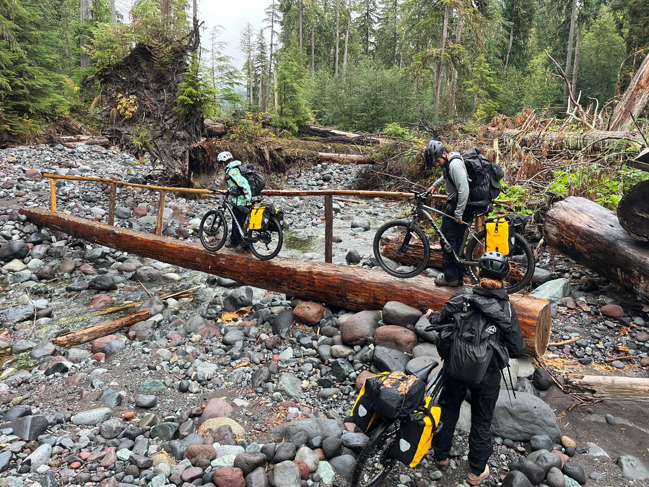 Three people wearing helmets wheel mountain bikes over a narrow log bridge crossing a rocky wash in the forest.