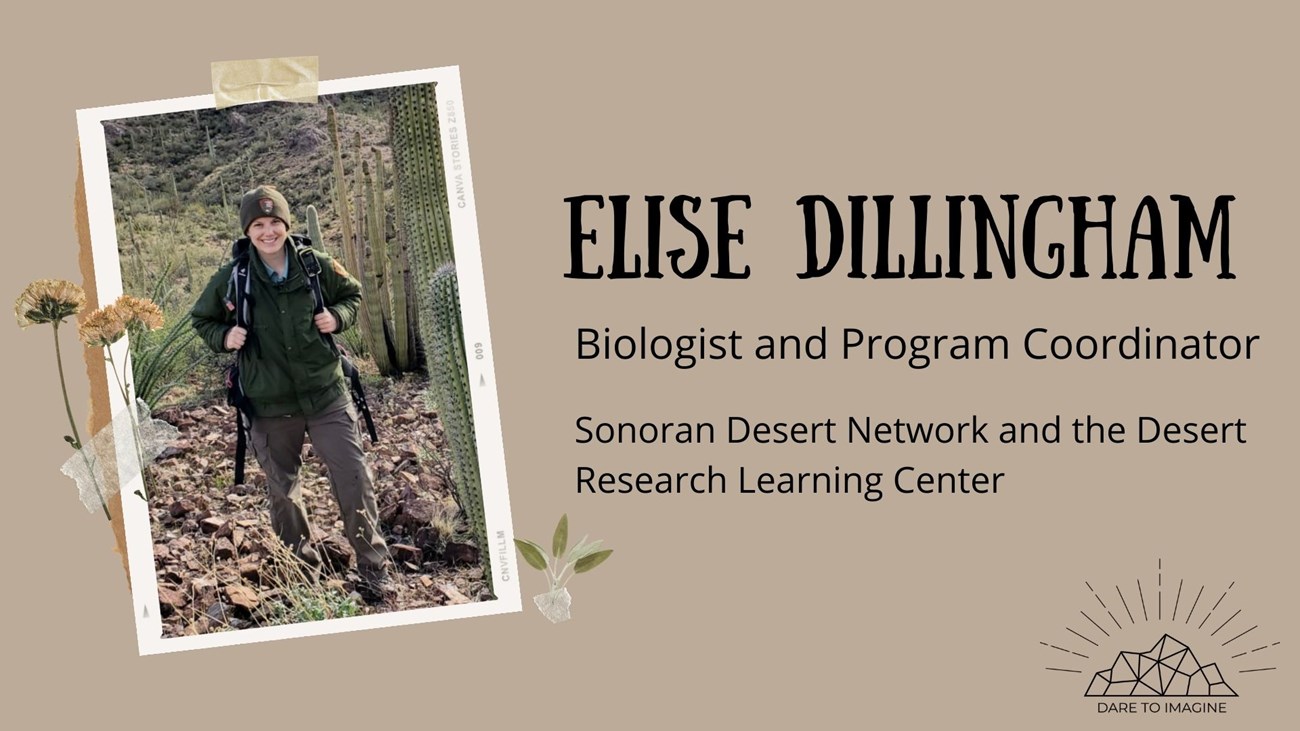 a graphic with a photo of a woman wearing a backpack. Text reads: Elise Dillingham Biologist and Program Coordinator