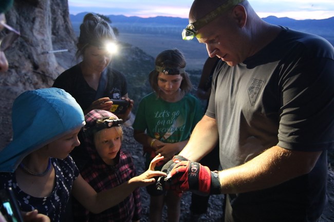 A Wildlife Biologist holds a bat up close for bioblitz participants to see the bat upclose