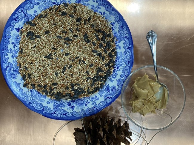 Supplies to make the birdfeeder sitting on a counter.