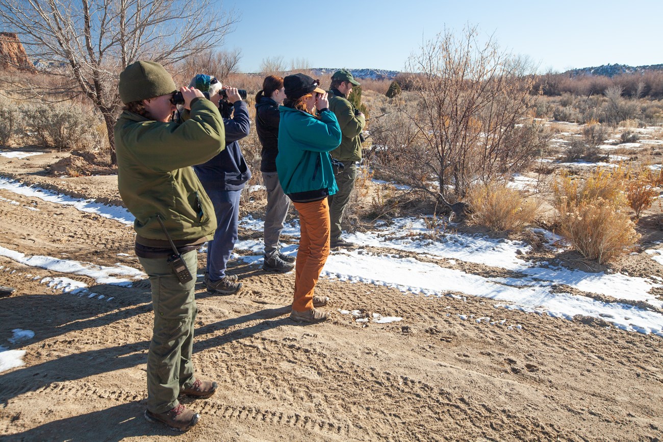 a group of people use binoculars to birdwatch in the winter