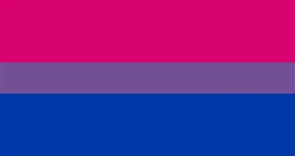 Pink, Blue, and Purple Flag
