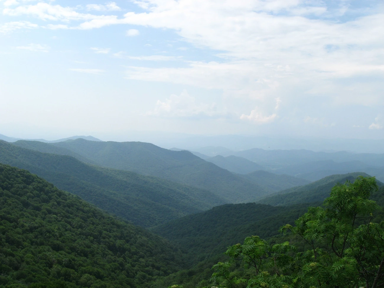 Blue Ridge Mountain Landscape Large landscape view of rolling mountains--green and tree-covered in foreground, blue and misty in background