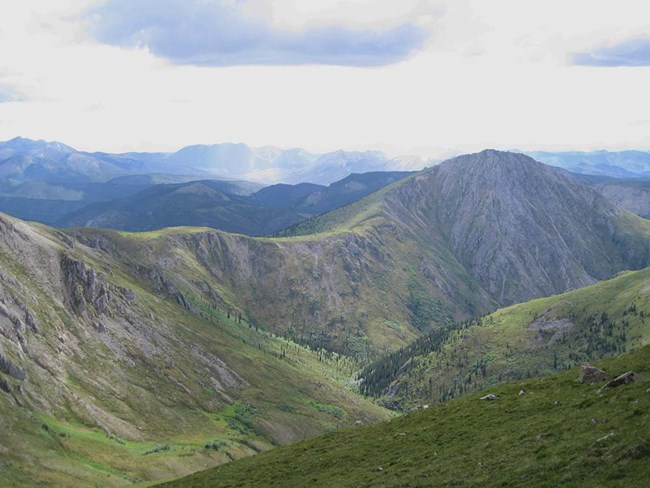 High elevation boreal forest and mountains.