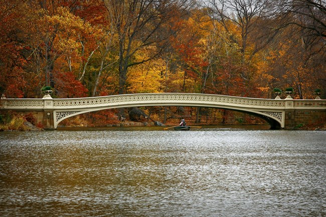 Color photo of Bow Bridge from across the lake. There are people in a rowboat beneath the bridge. Trees with leaves vibrant red, yellow, and orange fall stretch across the background.