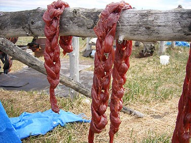 Braided seal intestines dry_resized 2_NPS Photo Several long strands of red meat hang from a rack.
